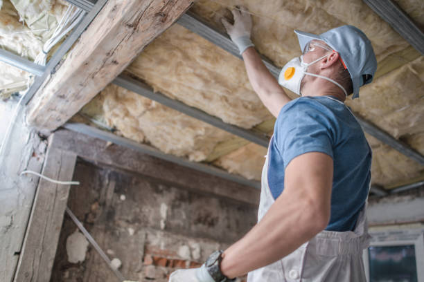 Insulation Replacement Services in Northbrook, IL