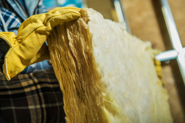 Best Home Insulation Services  in Northbrook, IL